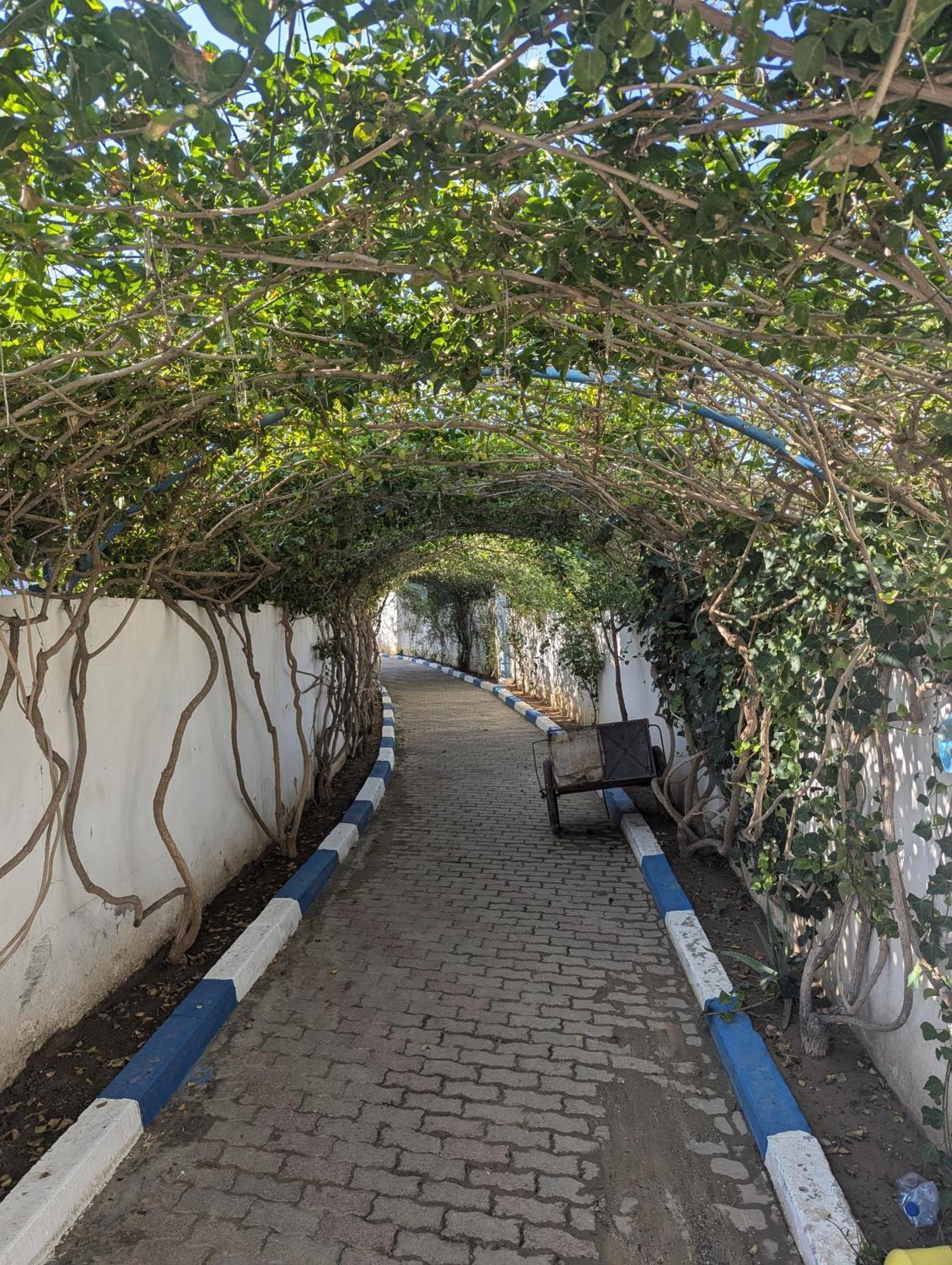 Diar El Bahr Mahdia Apartment El Hafsi Bagian luar foto